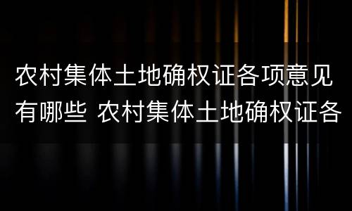 农村集体土地确权证各项意见有哪些 农村集体土地确权证各项意见有哪些内容