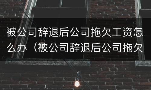 被公司辞退后公司拖欠工资怎么办（被公司辞退后公司拖欠工资怎么办理）