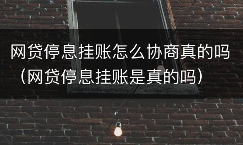 网贷停息挂账怎么协商真的吗（网贷停息挂账是真的吗）