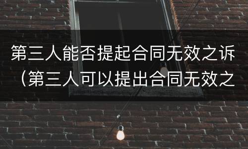 第三人能否提起合同无效之诉（第三人可以提出合同无效之诉吗）