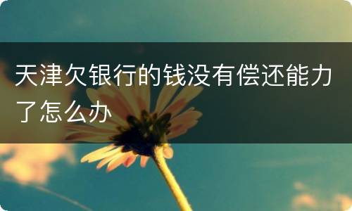 天津欠银行的钱没有偿还能力了怎么办