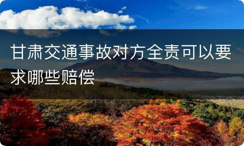 甘肃交通事故对方全责可以要求哪些赔偿