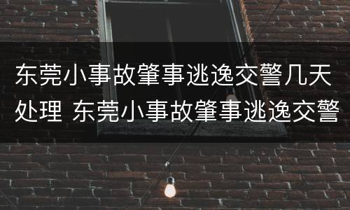 东莞小事故肇事逃逸交警几天处理 东莞小事故肇事逃逸交警几天处理完毕