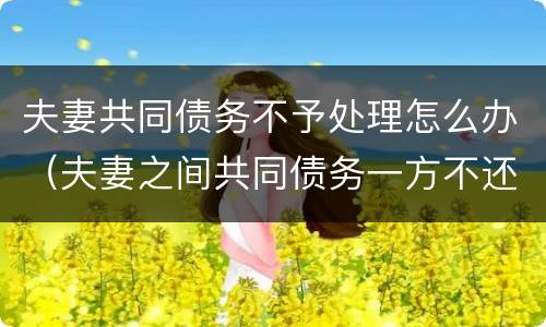 夫妻共同债务不予处理怎么办（夫妻之间共同债务一方不还怎么办）