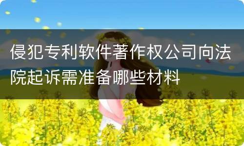 侵犯专利软件著作权公司向法院起诉需准备哪些材料