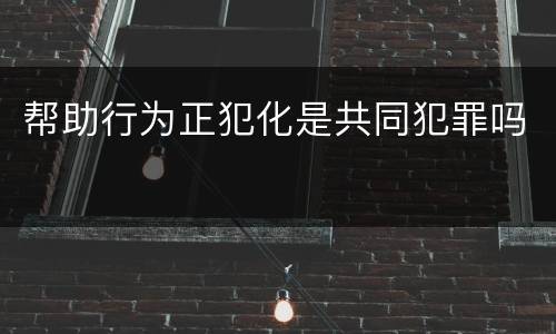帮助行为正犯化是共同犯罪吗