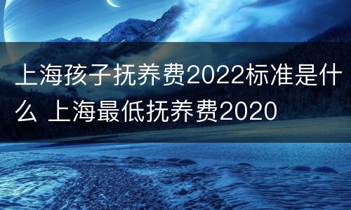 上海孩子抚养费2022标准是什么 上海最低抚养费2020