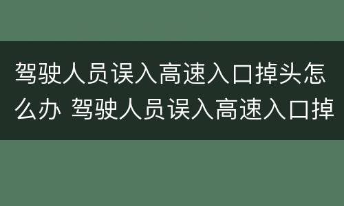 驾驶人员误入高速入口掉头怎么办 驾驶人员误入高速入口掉头怎么办理