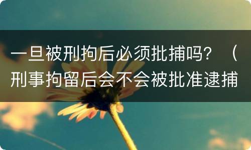 一旦被刑拘后必须批捕吗？（刑事拘留后会不会被批准逮捕）