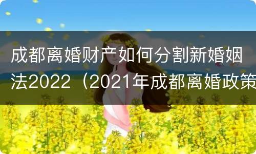 成都离婚财产如何分割新婚姻法2022（2021年成都离婚政策）