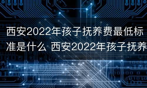 西安2022年孩子抚养费最低标准是什么 西安2022年孩子抚养费最低标准是什么呢