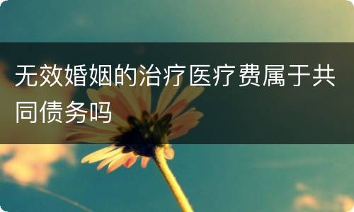 无效婚姻的治疗医疗费属于共同债务吗