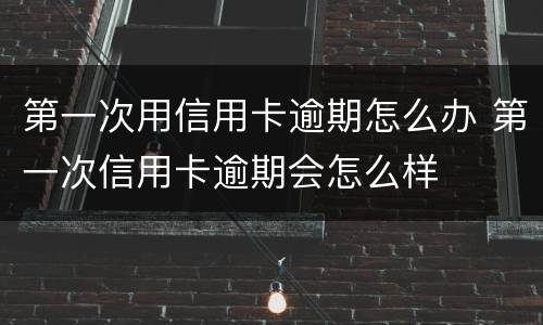 第一次用信用卡逾期怎么办 第一次信用卡逾期会怎么样