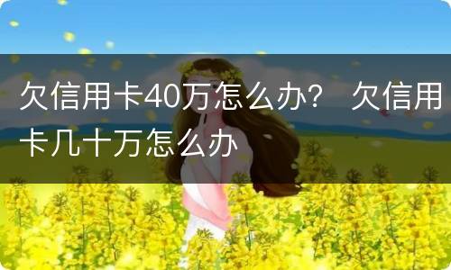 欠信用卡40万怎么办？ 欠信用卡几十万怎么办