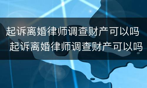起诉离婚律师调查财产可以吗 起诉离婚律师调查财产可以吗多少钱