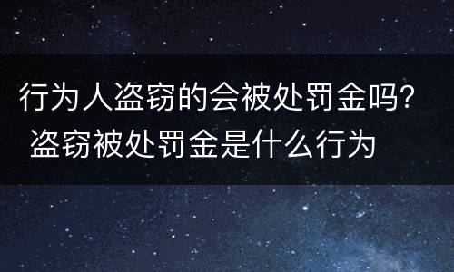 行为人盗窃的会被处罚金吗？ 盗窃被处罚金是什么行为