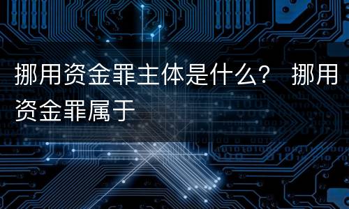 挪用资金罪主体是什么？ 挪用资金罪属于