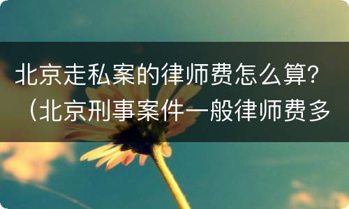 北京走私案的律师费怎么算？（北京刑事案件一般律师费多少）