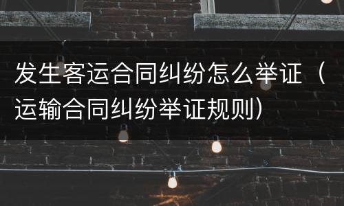 发生客运合同纠纷怎么举证（运输合同纠纷举证规则）