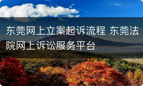东莞网上立案起诉流程 东莞法院网上诉讼服务平台