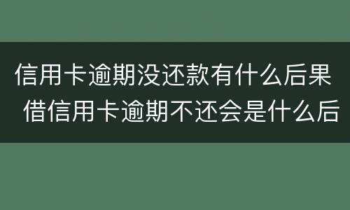 信用卡逾期没还款有什么后果 借信用卡逾期不还会是什么后果