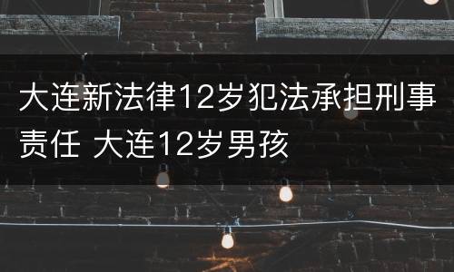 大连新法律12岁犯法承担刑事责任 大连12岁男孩