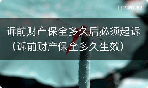 诉前财产保全多久后必须起诉（诉前财产保全多久生效）
