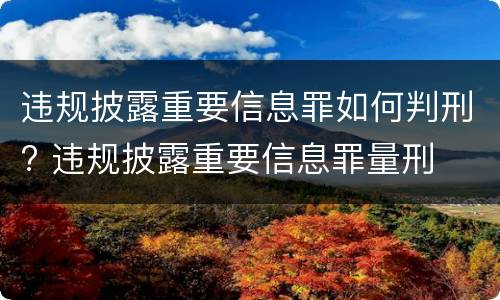 违规披露重要信息罪如何判刑? 违规披露重要信息罪量刑