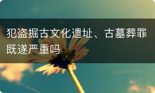 犯盗掘古文化遗址、古墓葬罪既遂严重吗