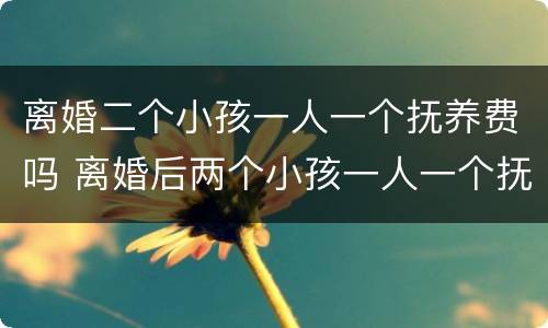 离婚二个小孩一人一个抚养费吗 离婚后两个小孩一人一个抚养费怎么分