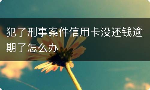 犯了刑事案件信用卡没还钱逾期了怎么办
