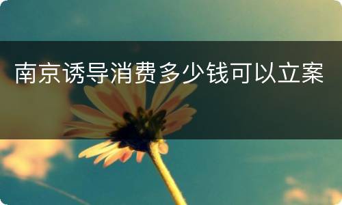 南京诱导消费多少钱可以立案