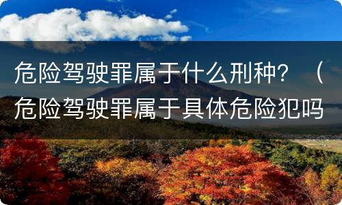 危险驾驶罪属于什么刑种？（危险驾驶罪属于具体危险犯吗）