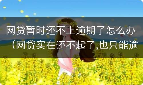 网贷暂时还不上逾期了怎么办（网贷实在还不起了,也只能逾期了）