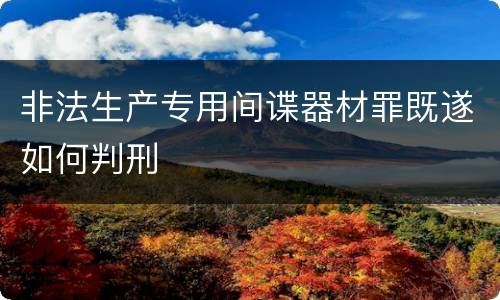 非法生产专用间谍器材罪既遂如何判刑