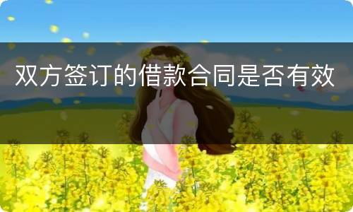 双方签订的借款合同是否有效