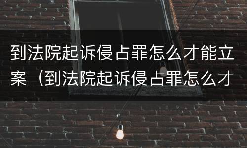到法院起诉侵占罪怎么才能立案（到法院起诉侵占罪怎么才能立案呢）