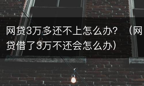 网贷3万多还不上怎么办？（网贷借了3万不还会怎么办）