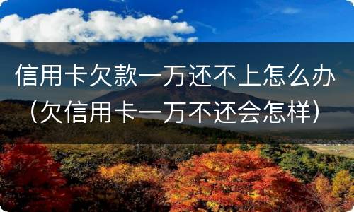 信用卡欠款一万还不上怎么办（欠信用卡一万不还会怎样）