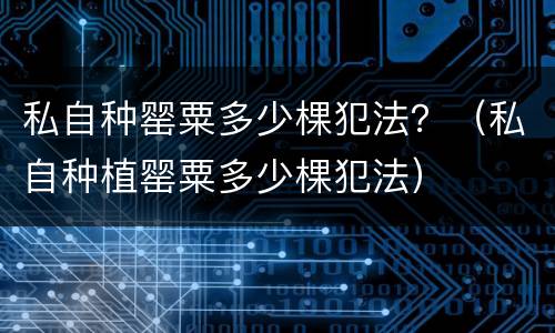 私自种罂粟多少棵犯法？（私自种植罂粟多少棵犯法）