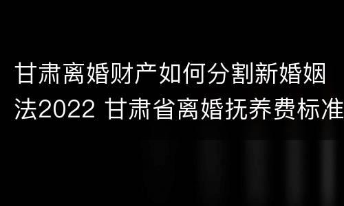 甘肃离婚财产如何分割新婚姻法2022 甘肃省离婚抚养费标准