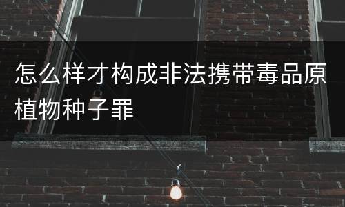 怎么样才构成非法携带毒品原植物种子罪