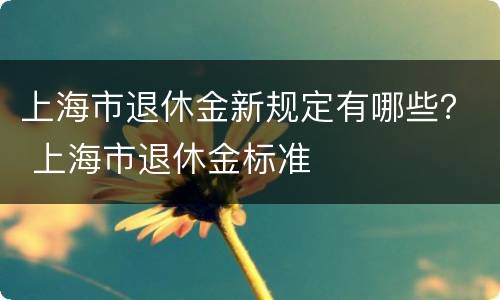上海市退休金新规定有哪些？ 上海市退休金标准