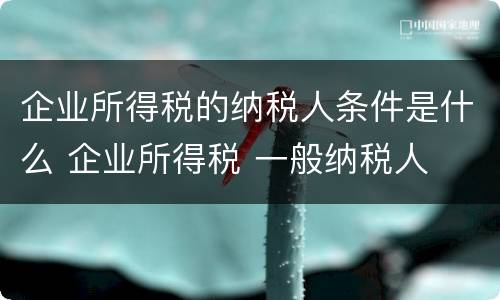 企业所得税的纳税人条件是什么 企业所得税 一般纳税人