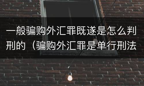 一般骗购外汇罪既遂是怎么判刑的（骗购外汇罪是单行刑法吗）