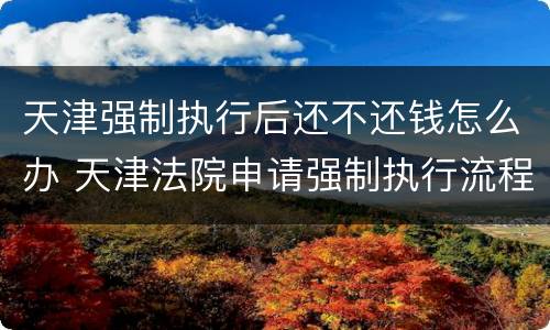 天津强制执行后还不还钱怎么办 天津法院申请强制执行流程