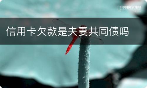 信用卡欠款是夫妻共同债吗