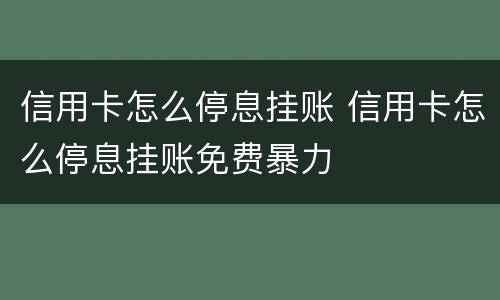 信用卡怎么停息挂账 信用卡怎么停息挂账免费暴力
