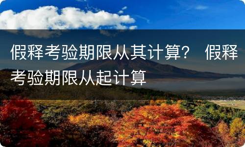 假释考验期限从其计算？ 假释考验期限从起计算