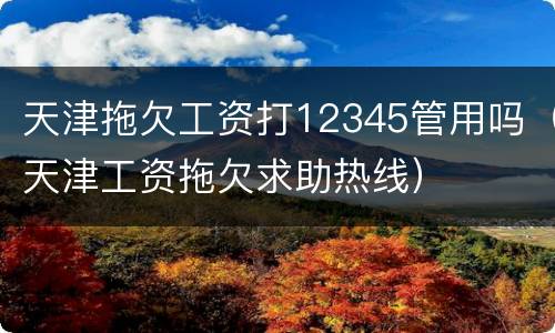 天津拖欠工资打12345管用吗（天津工资拖欠求助热线）